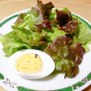 サニーレタスと茹で卵のサラダ